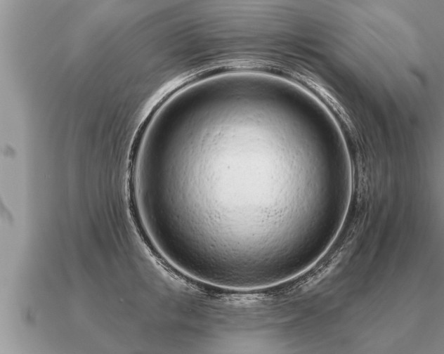 X0000091090853200708061635