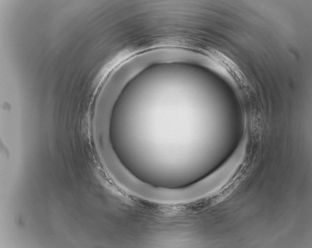 X0000091090854200708061635