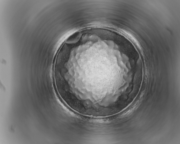 X0000091090855200708061635