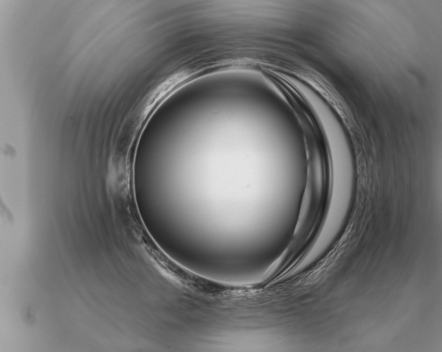 X0000091090858200708061635