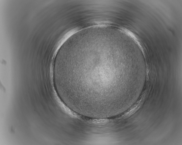 X0000091090859200708061635