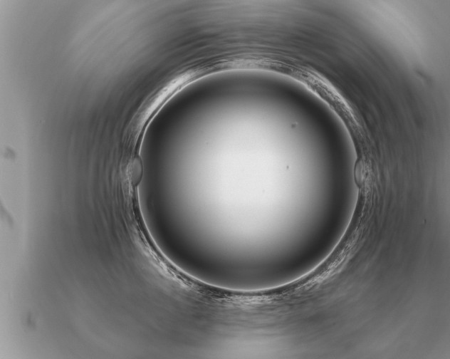 X0000091090860200708061635