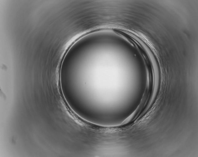 X0000091090862200708061635