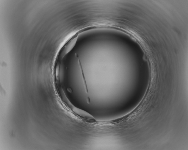 X0000091090864200708061635