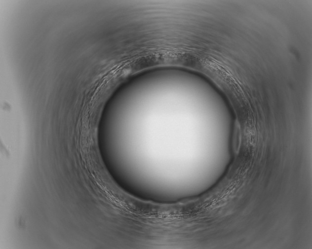 X0000091090865200708061635