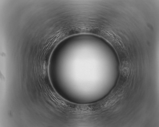 X0000091090866200708061635