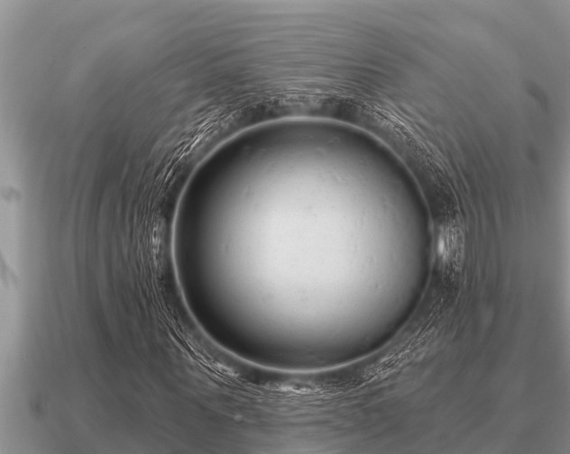 X0000091090867200708061635