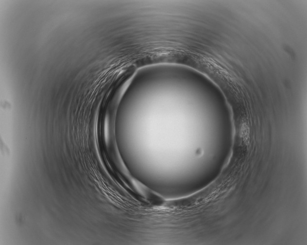 X0000091090868200708061635