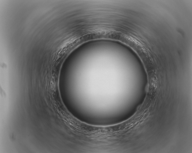 X0000091090869200708061635