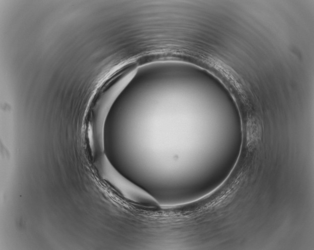 X0000091090876200708061635