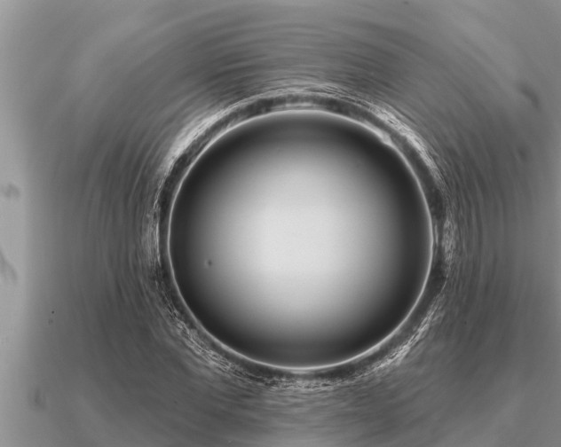 X0000091090877200708061635