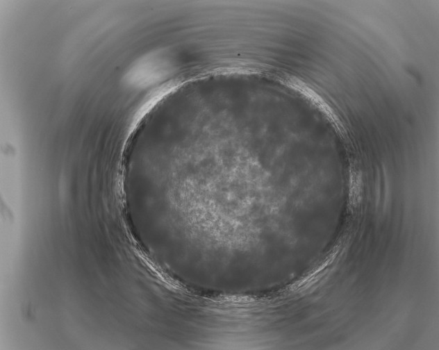 X0000091090878200708061635