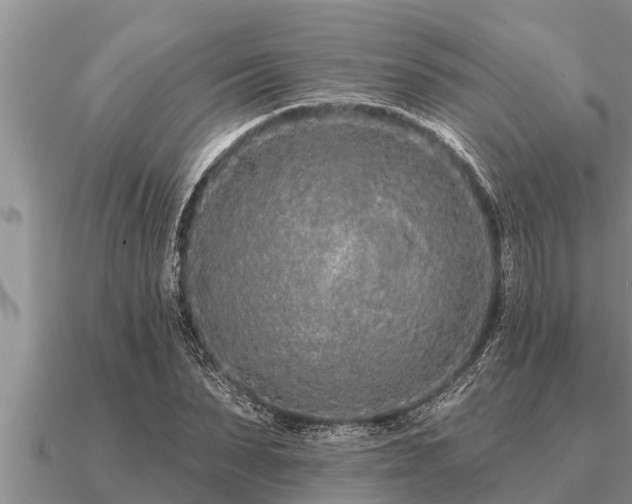 X0000091090879200708061635