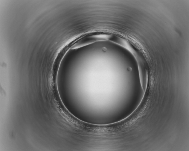 X0000091090880200708061635