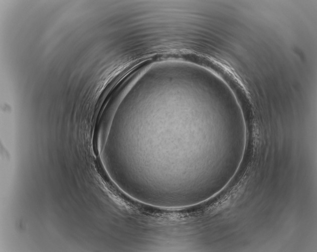 X0000091090881200708061635