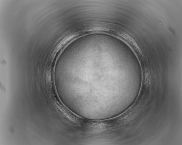 X0000091090882200708061635