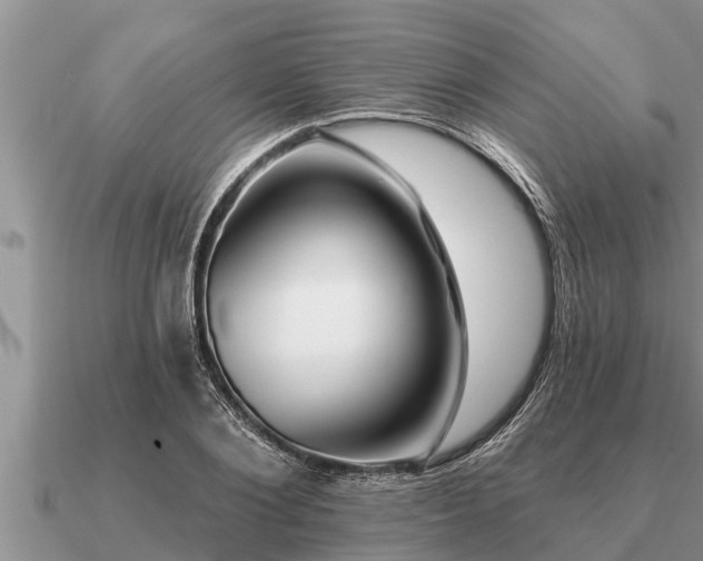 X0000091090884200708061634