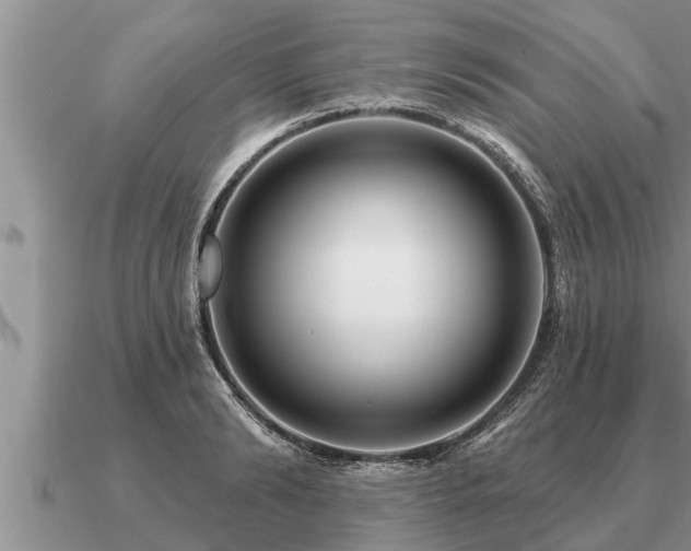 X0000091090894200708061634