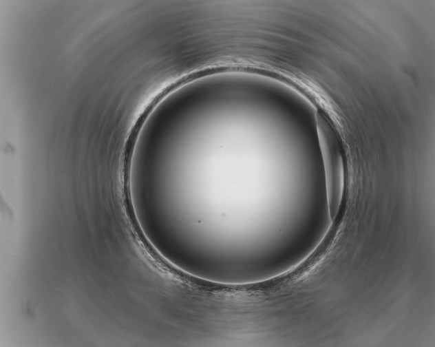 X0000091090896200708061634