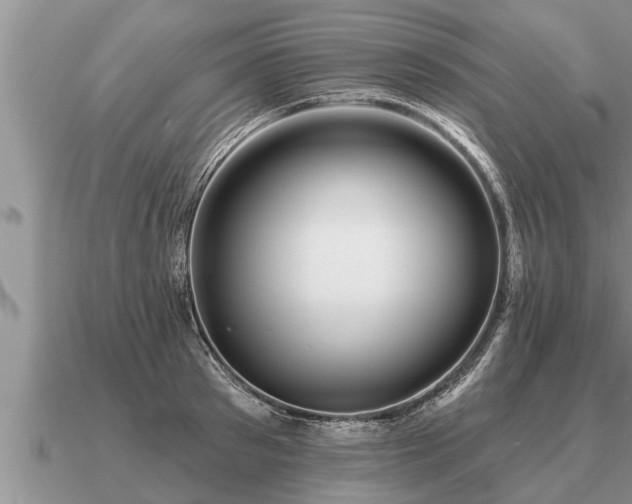 X0000091090897200708061634
