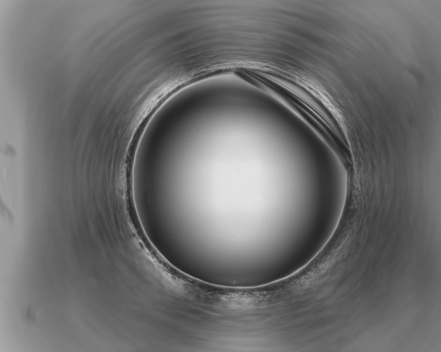 X0000091090898200708061634
