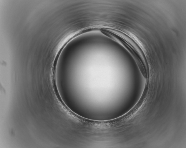 X0000091090901200708061634