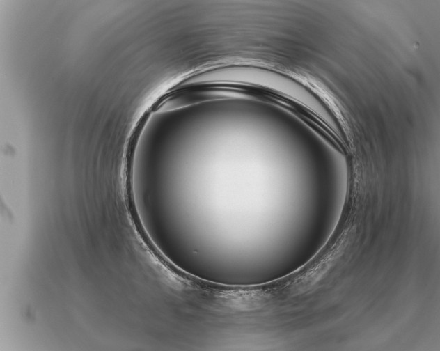 X0000091090902200708061634
