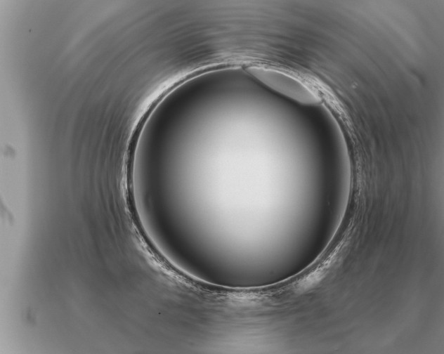 X0000091090904200708061634
