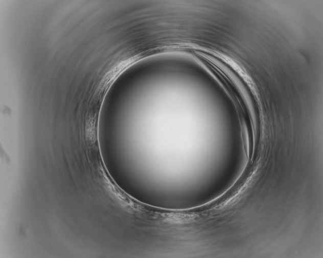X0000091090905200708061634