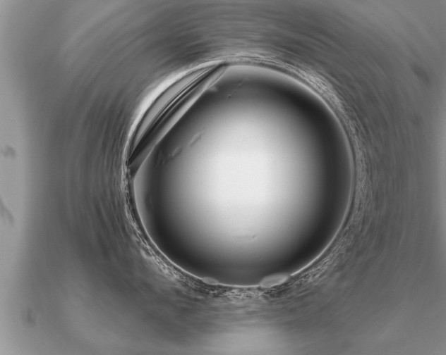 X0000091090912200708061634