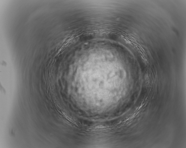 X0000091090913200708061633