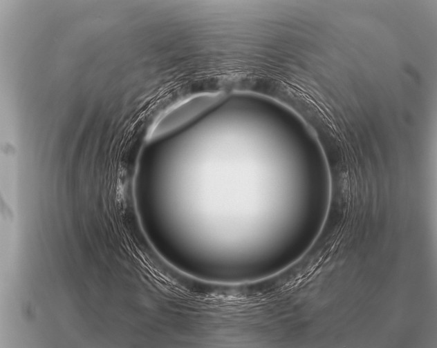 X0000091090914200708061633