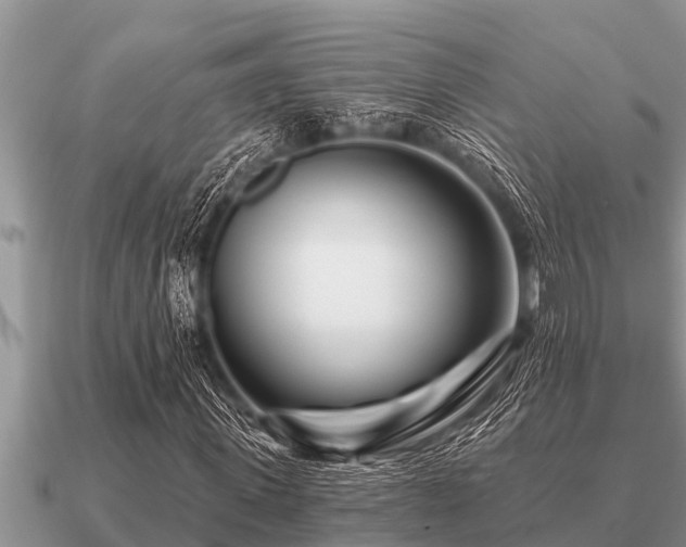X0000091090915200708061633