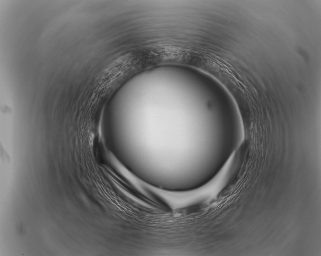 X0000091090916200708061633