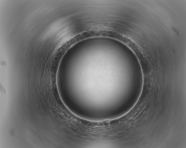 X0000091090919200708061633