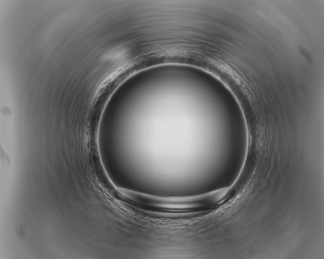 X0000091090922200708061633