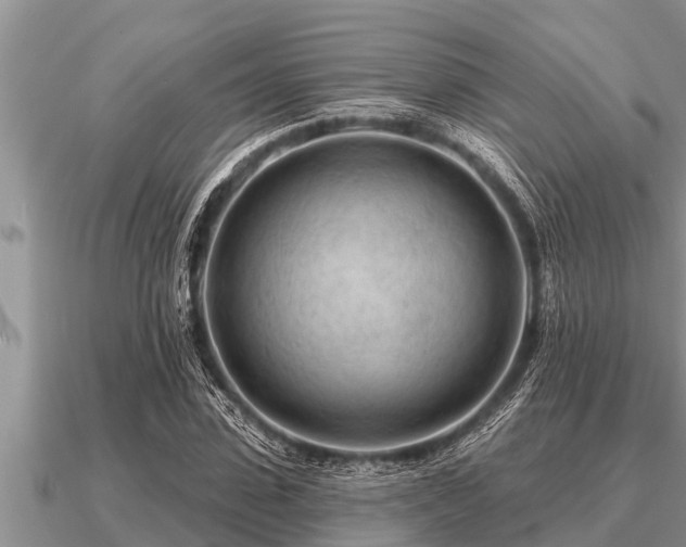 X0000091090923200708061633