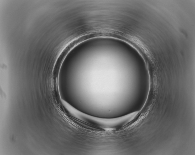 X0000091090924200708061633