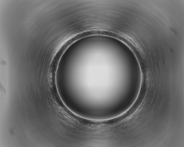 X0000091090926200708061633