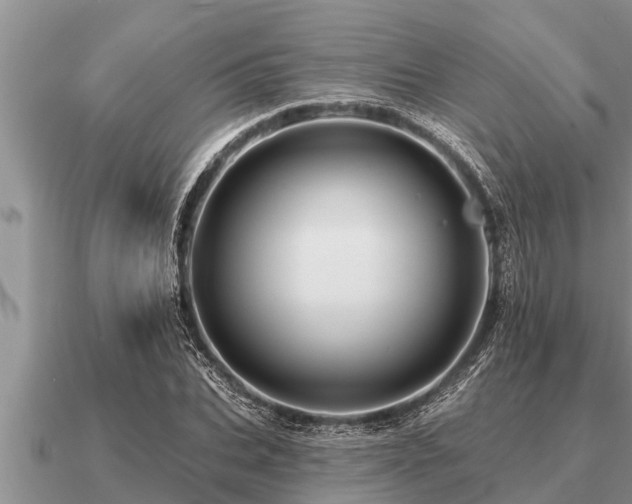 X0000091090927200708061633