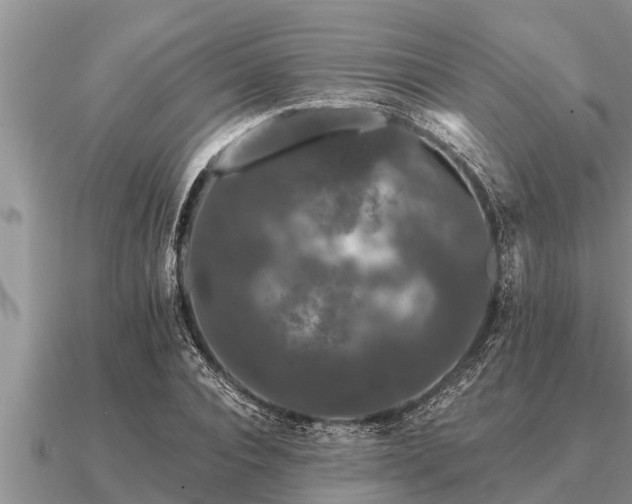 X0000091090928200708061633