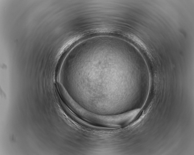 X0000091090930200708061634
