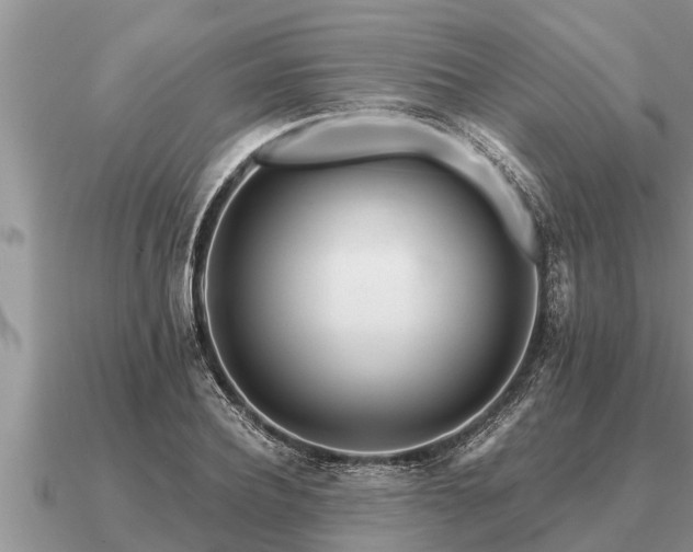 X0000091090932200708061634