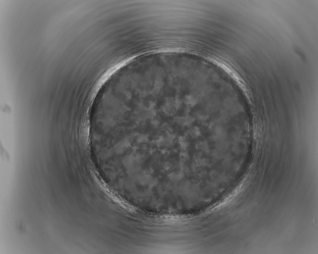 X0000091090933200708061634