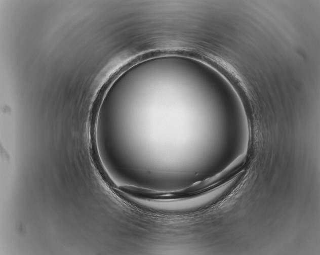 X0000091090935200708061634