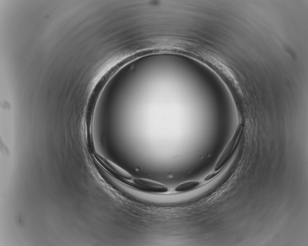 X0000091090936200708061634