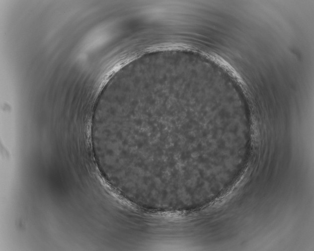 X0000091090937200708061634