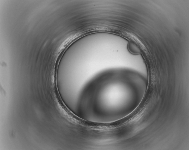 X0000091090938200708061634