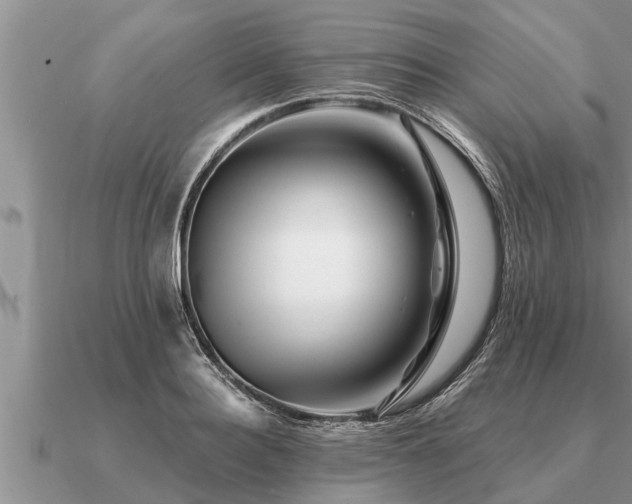 X0000091090940200708061634
