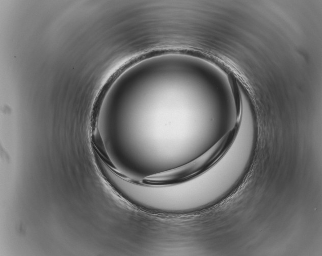 X0000091090942200708061634